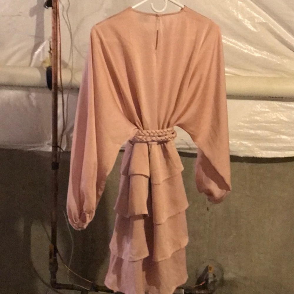 Blush Pink Dress - Picture 3 of 3